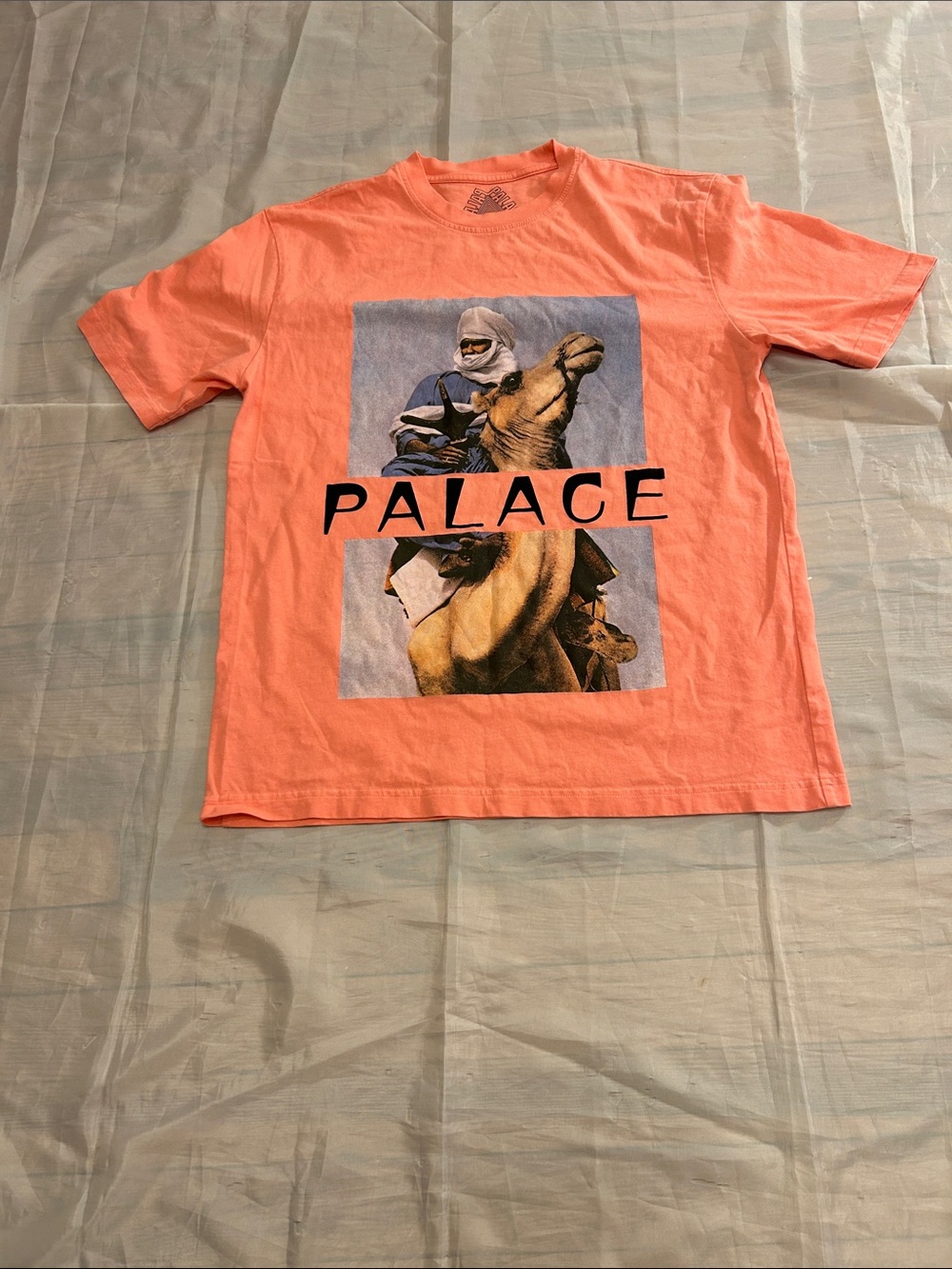 PALACE skateboards Coral Graphic Camel Rider Short-Sleeve Tee